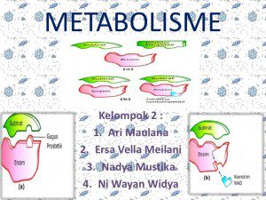 Hal yang Mengganggu Metabolisme