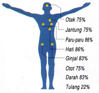 Cara Memanfaatkan Air Sebagai Obat