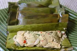 gadon tahu teri