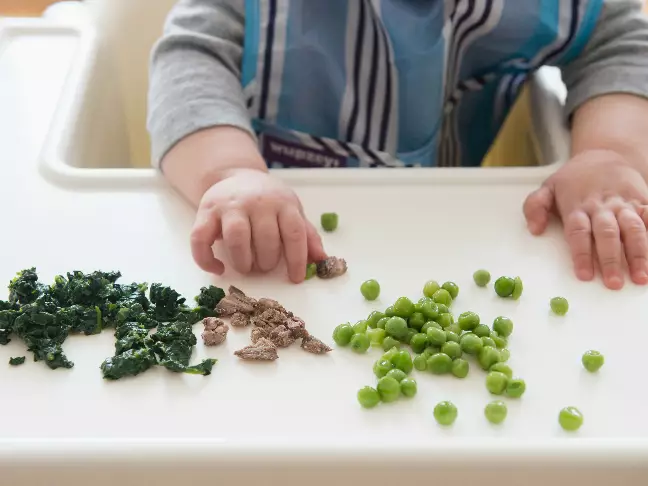 makanan bayi 1 tahun