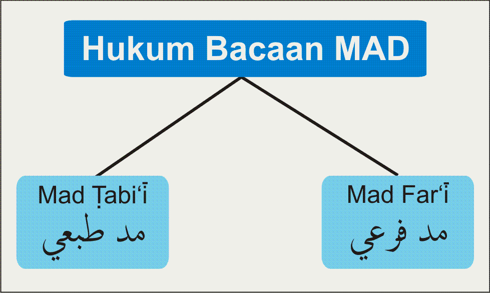 Cara Belajar Membaca Alquran Sendiri