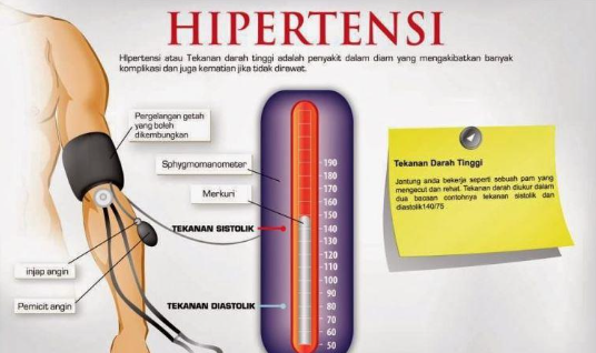 anatomi fisiologi hipertensi