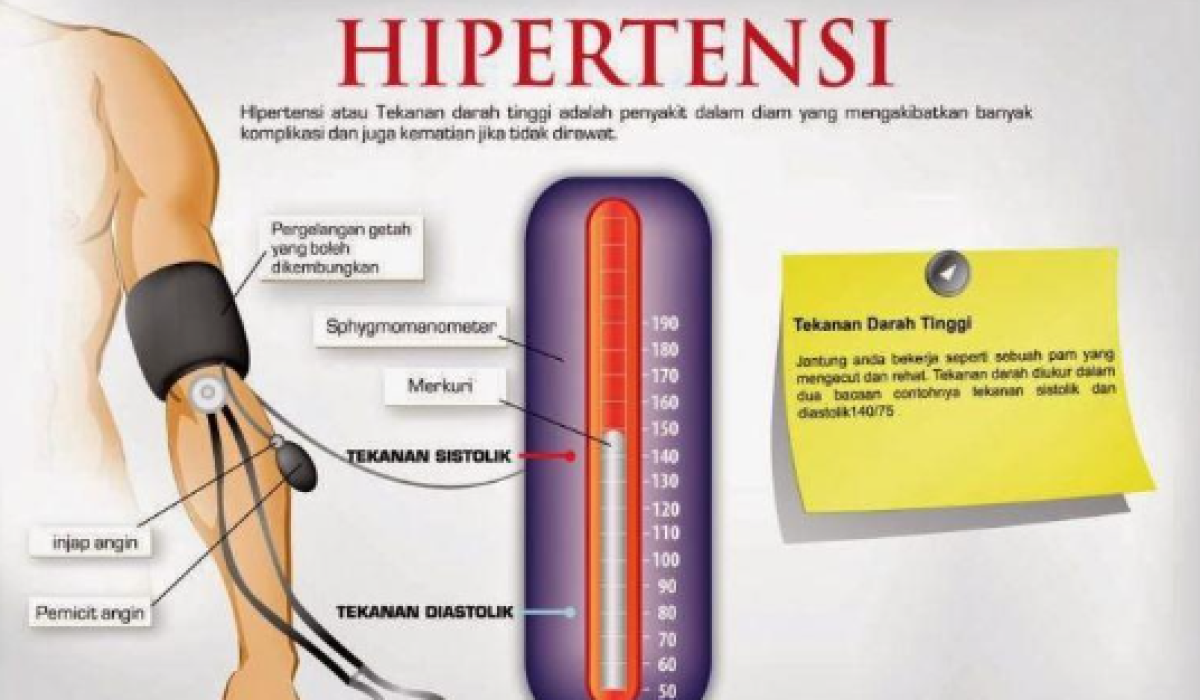 anatomi fisiologi hipertensi