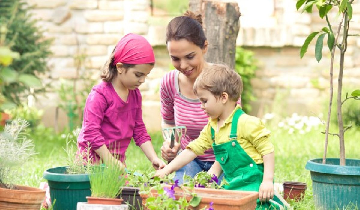 anak berkebun